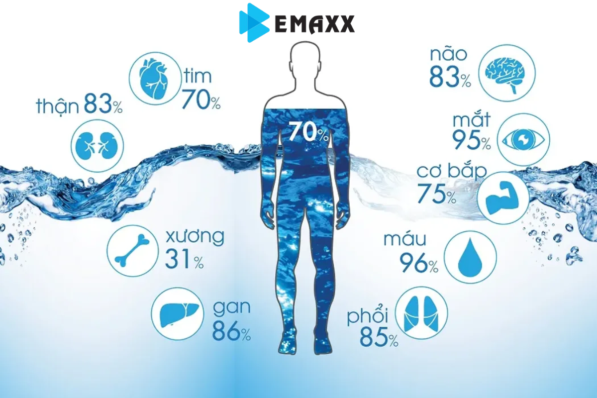 Tại sao uống đủ nước giúp tăng cường hệ miễn dịch khi giao mùa?